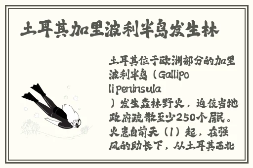 红桃国产